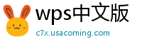 wps中文版